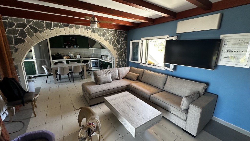 Our new couch in our living room