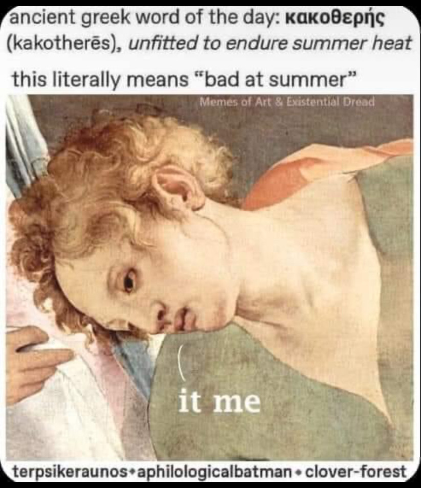 a meme about being bad at summer