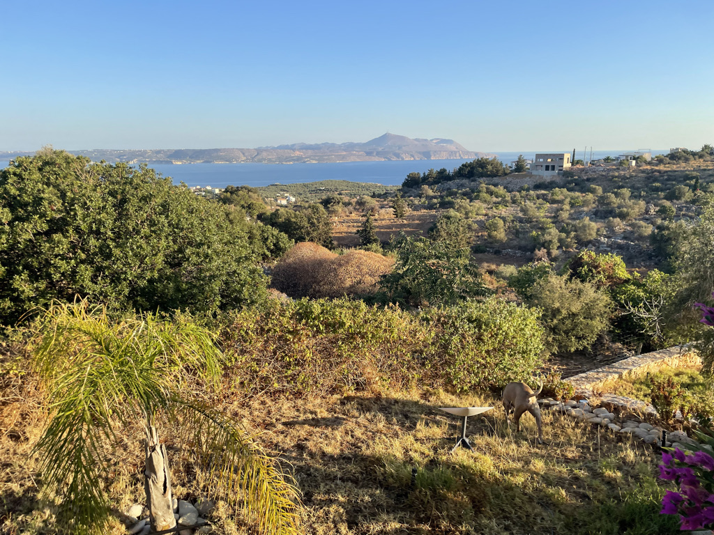 picture of the hillside