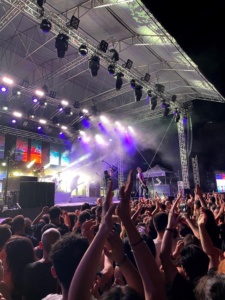 Placebo concert with fans hands in the air and Brian holding up his guitar