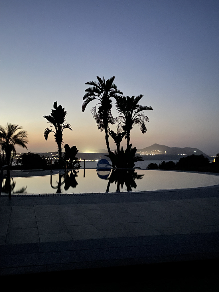 twilight palm trees in silhouette 
