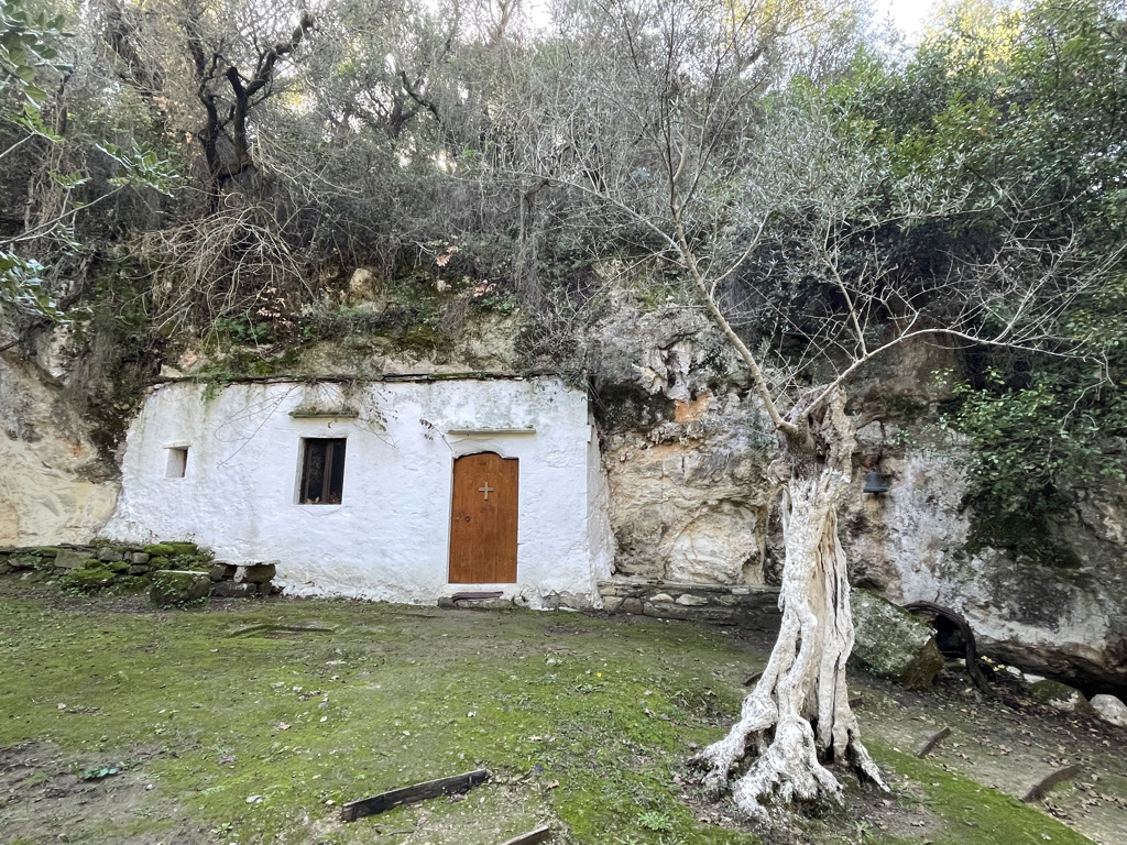 Magical forest time!