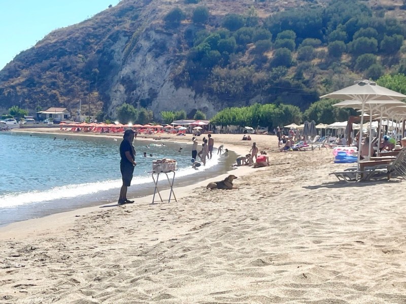 All I wanna do is eat donuts at the&nbsp;beach