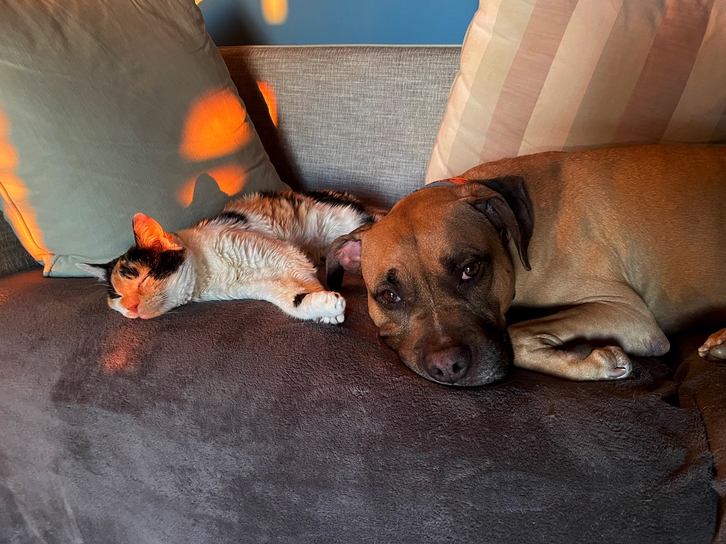 Spring of Loss, Summer of&nbsp;Babes