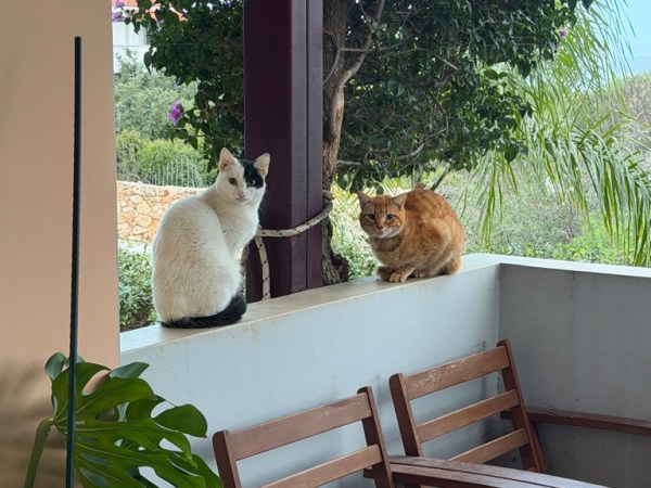 February Feasts with old friends and&nbsp;new